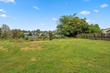 Photo of property in 6 Esk Crescent, Tokoroa, 3420
