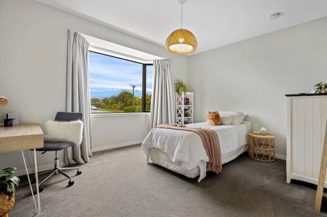 Photo of property in 45 Diamond Avenue, Spreydon, Christchurch, 8024