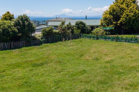 Photo of property in 19 Mohi Street, Omori, Turangi, 3381