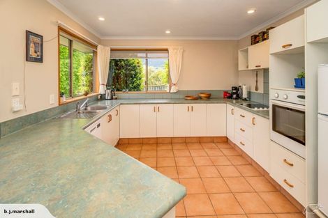 Photo of property in 7 Shetland Place, Richmond, 7020