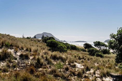 Photo of property in 20 Paterson Street, Mount Maunganui, 3116