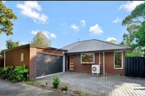 Photo of property in 60b Opawa Road, Waltham, Christchurch, 8023