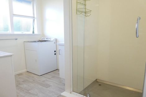 Photo of property in 133 Britomart Street, Berhampore, Wellington, 6023