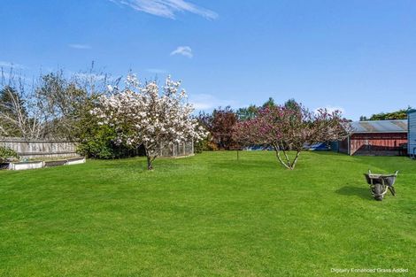 Photo of property in 91 Thomas Street, Waikouaiti, 9510