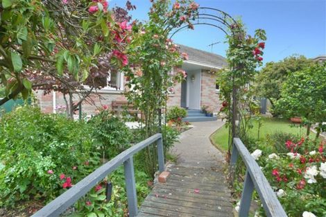 Photo of property in 20 Shulma Street, Abbotsford, Dunedin, 9018