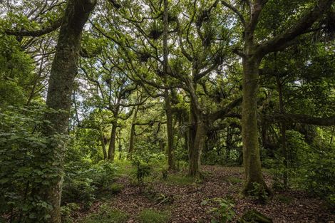 Photo of property in 161 Newton Road, Maungatapere, Whangarei, 0170