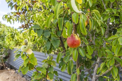 Photo of property in 337 Te Horo Beach Road, Te Horo Beach, Otaki, 5581