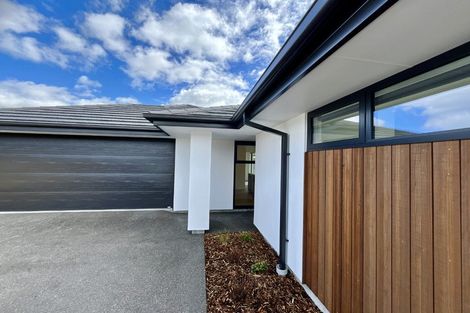 Photo of property in 12 Kildare Street, Belfast, Christchurch, 8051