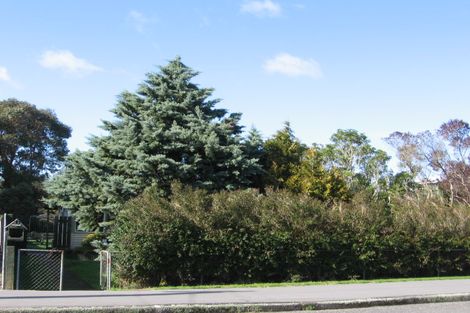 Photo of property in 21 Moore Street, Featherston, 5710