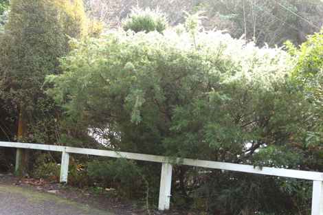 Photo of property in 20 Cosy Dell Road, North Dunedin, Dunedin, 9016