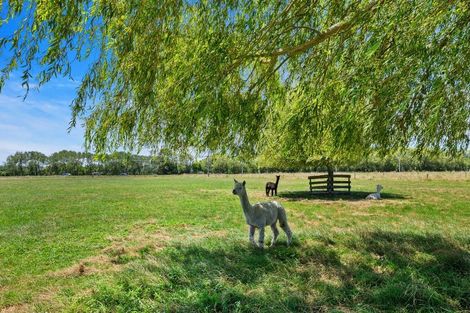 Photo of property in 2179 State Highway 16, Helensville, 0875
