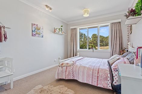 Photo of property in 319 Innes Road, Glasnevin, Amberley, 7482