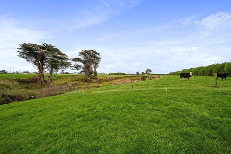 Photo of property in 405 Normanby Road, Okaiawa, Hawera, 4671