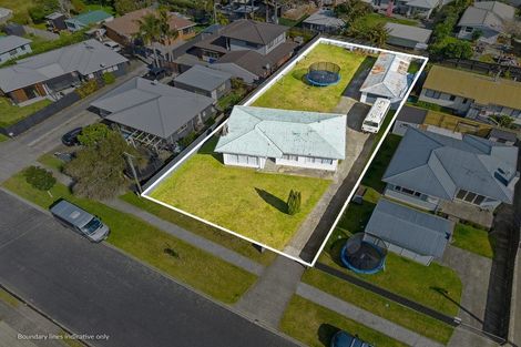 Photo of property in 24 Macville Road, Mount Maunganui, 3116