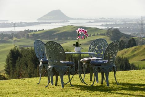 Photo of property in 565a Upper Ohauiti Road, Ohauiti, Tauranga, 3173