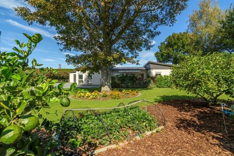 Photo of property in 147d Tetley Road, Katikati, 3178