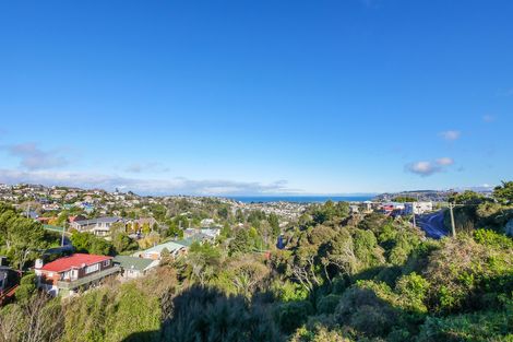 Photo of property in 101 Dunrobin Street, Waverley, Dunedin, 9013