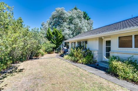 Photo of property in 117 Eskdale Drive, Bay View, Napier, 4182