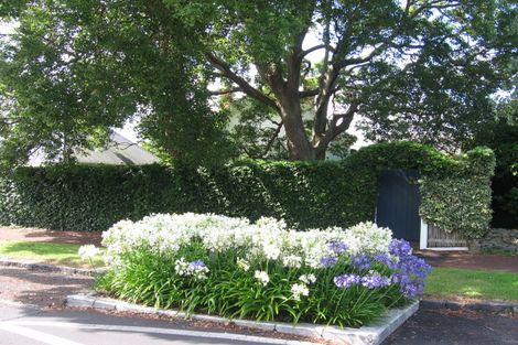 Photo of property in 22 Domett Avenue, Epsom, Auckland, 1023