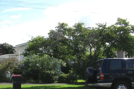 Photo of property in 36 Alexis Avenue, Mount Albert, Auckland, 1025