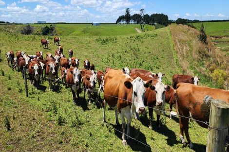 Photo of property in 5 Kakaramea Road, Kakaramea, Patea, 4598