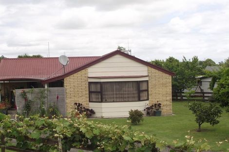 Photo of property in 51 Snell Street, Morrinsville, 3300