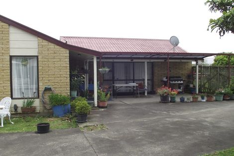 Photo of property in 51 Snell Street, Morrinsville, 3300