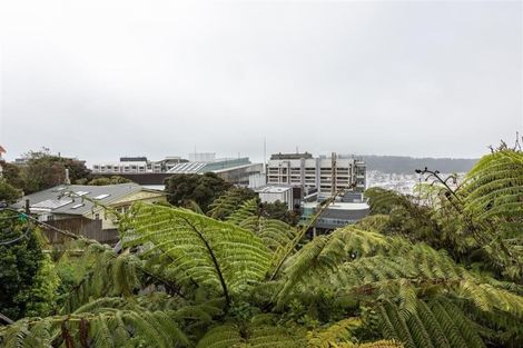 Photo of property in 80 Kelburn Parade, Kelburn, Wellington, 6012