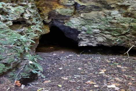 Photo of property in 584b State Highway 3, Waitomo, Te Kuiti, 3977