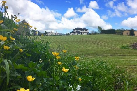 Photo of property in 20 Claremont Rise, Levin, 5510