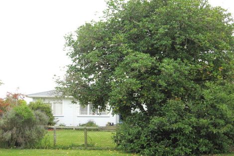 Photo of property in 29 Windsor Street, Opotiki, 3122