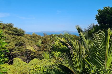 Photo of property in 51b Waihirere Drive, Tuateawa, Coromandel, 3583