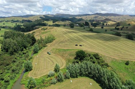 Photo of property in 211 Waitetuna Valley Road, Waitetuna, Raglan, 3295