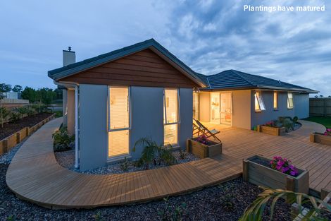 Photo of property in 62 Ranui Avenue, Kerikeri, 0230