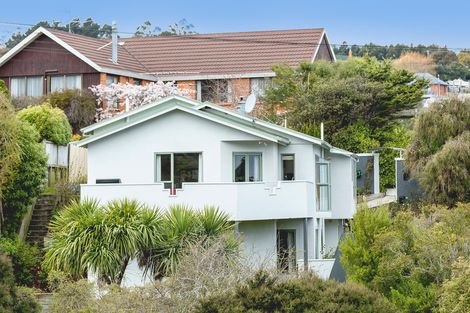 Photo of property in 17a Tower Avenue, Waverley, Dunedin, 9013