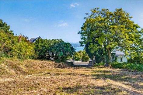 Photo of property in 19 Coleman Terrace, Hospital Hill, Napier, 4110