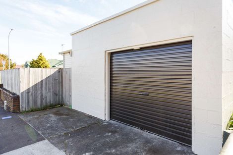 Photo of property in 267 Ruahine Street, Terrace End, Palmerston North, 4410