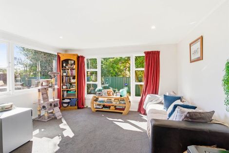 Photo of property in 872 Harington Point Road, Harington Point, Dunedin, 9077