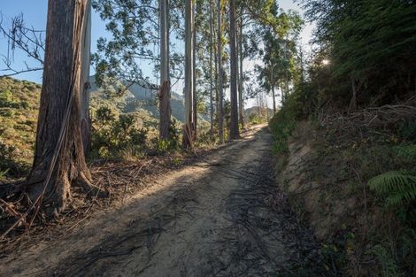 Photo of property in 168 Graham Valley Road, Motueka Valley, Motueka, 7196