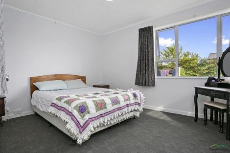 Photo of property in 24 Clothier Street, Putaruru, 3411