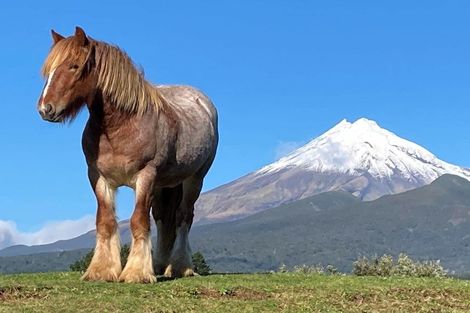 Photo of property in 1375 Carrington Road, Hurworth, New Plymouth, 4371
