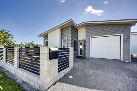 Photo of property in 11a Avenue Road, Greenmeadows, Napier, 4112