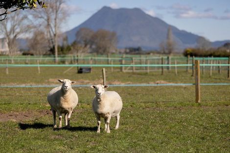 Photo of property in 84 Grieve Road, Otakiri, Whakatane, 3193