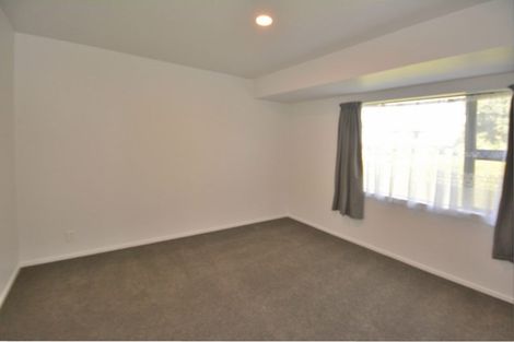 Photo of property in 169a Otumoetai Road, Brookfield, Tauranga, 3110