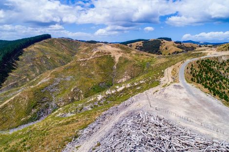 Photo of property in 3525 Masterton Castlepoint Road, Mangapakeha, Masterton, 5889