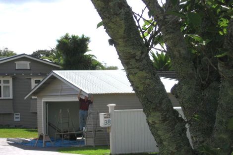 Photo of property in 38 Alexis Avenue, Mount Albert, Auckland, 1025