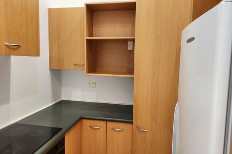 Photo of property in 17 Manitoba Place, Kingston, Wellington, 6021