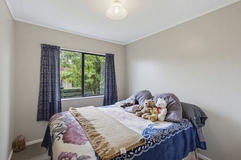 Photo of property in 13 Douglas Street, Levin, 5510
