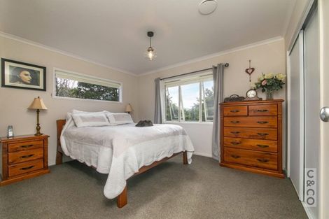 Photo of property in 202 Rapson Road, Kaukapakapa, 0871