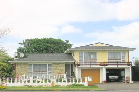 Photo of property in 25 Snell Street, Morrinsville, 3300